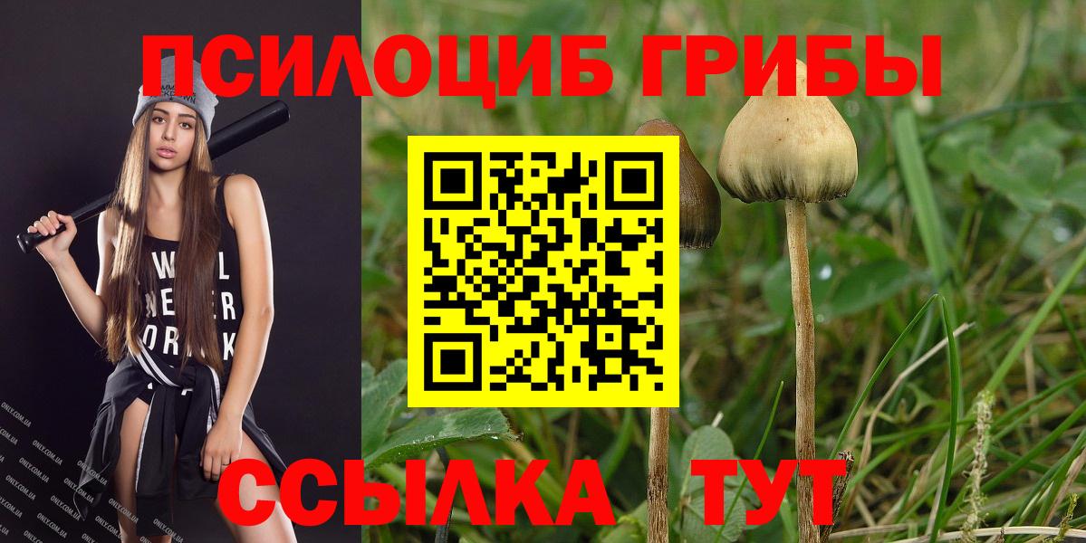 Галлюциногенные грибы ЛСД  Галлюциногенные грибы Cubensis  Вичуга  Вход с VPN 